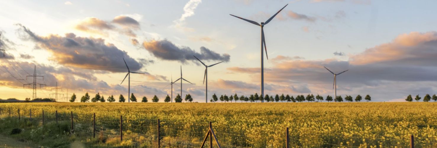 Pays baltes : un secteur énergétique en plein essor confronté à un climat de tensions caractérisées